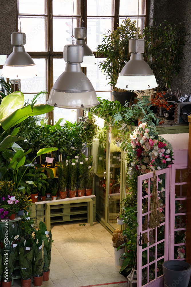 Interior of house plants store with different houseplants growing in