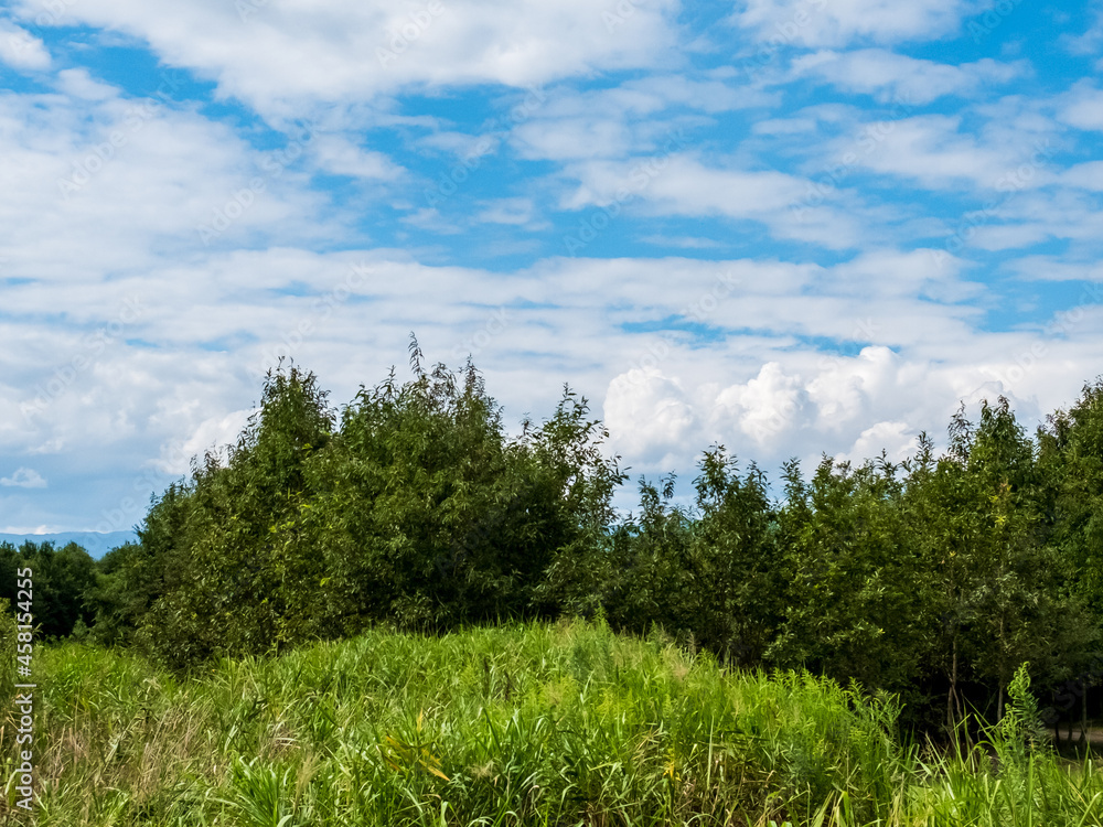 滋賀県守山市地球市民の森を散策