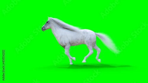 Runing white horse. Green screen. 3d rendering.