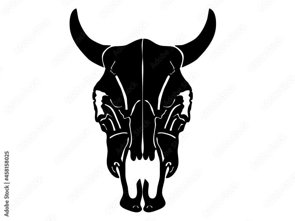 Cattle Skull with Horns Bull Cow Skeletal Head HD Vector Art Front View Cattle Skull with Horns Bull Cow Skeletal Head HD Vector Art Front View