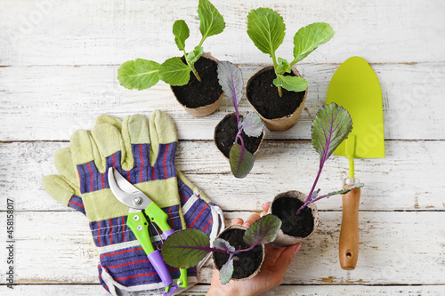 Female hand with plants see...