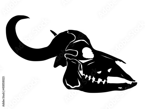 Cattle Skull with Horns Bull Cow Skeletal Head HD Vector Art Side View