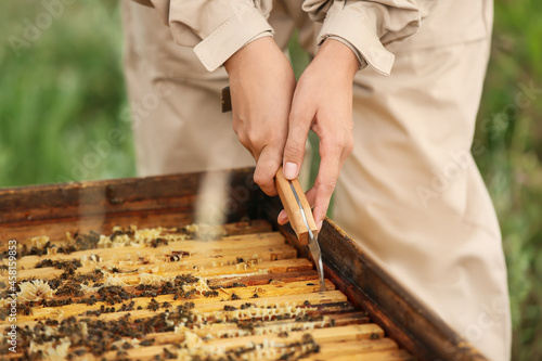 Female beekeeper working at apiary, closeup photo