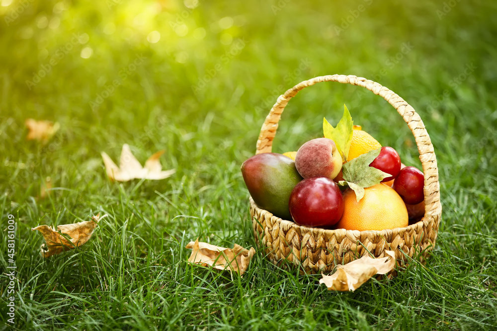 Wicker basket with fresh fruits on grass Wicker basket with fresh fruits on grass