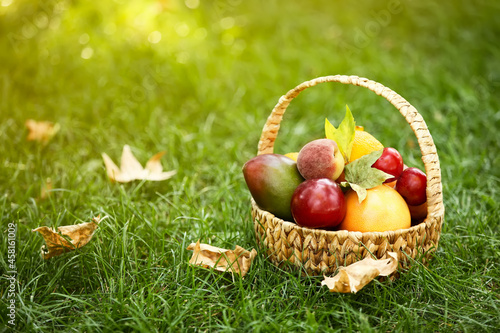 Wicker basket with fresh fruits on grass