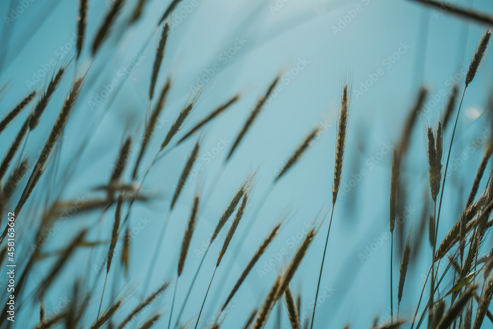 grass and water grass and water
