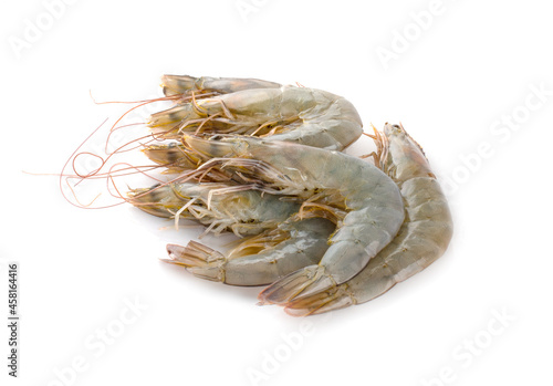 Raw shrimps isolate on white background
