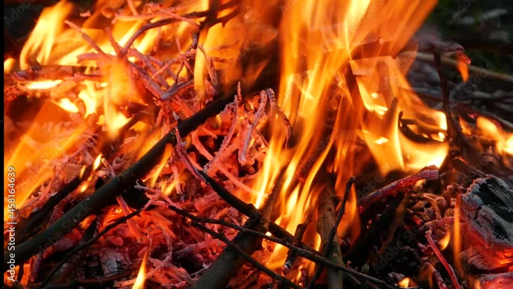 A night fire made of young branches. Campfire close-up on a hike. A night fire made of young branches. Campfire close-up on a hike.