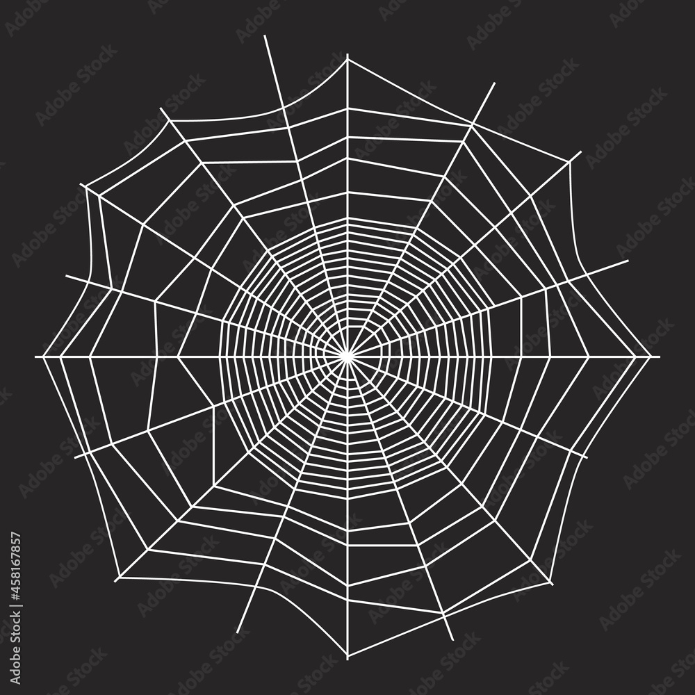 White threads of spider web on dark background. Black and white design. Spiderweb silhouette graphic. Cobweb outline on black wall. Halloween theme. Network, trap and danger, scary, arachnid symbol.