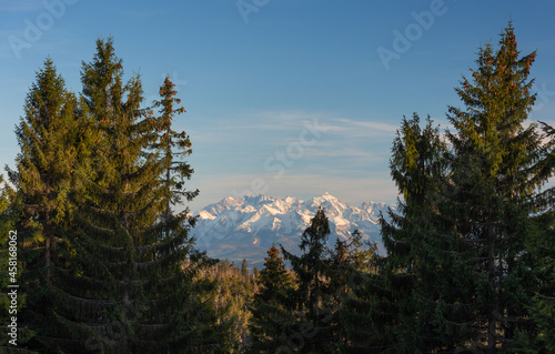 beautiful view of the snow-capped mountains from the spring meadows covered with flowers and grass