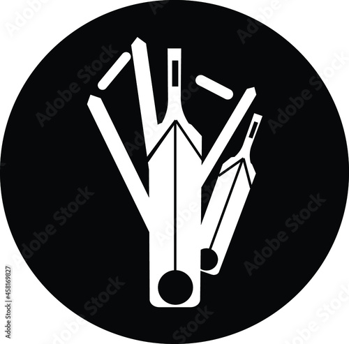 Cricket bat, ball, stumps and bails icon