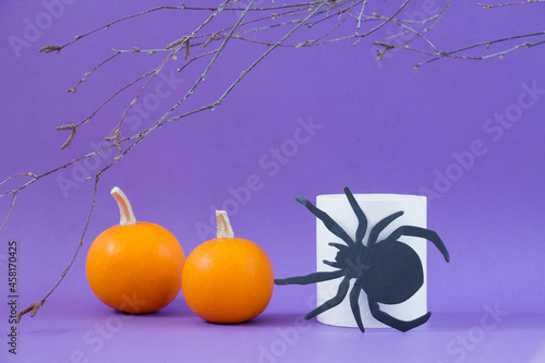 Halloween holiday concept. Spider  podiums or pedestals for displaying products  leafless tree branches  orange autumn pumpkins on a purple background.