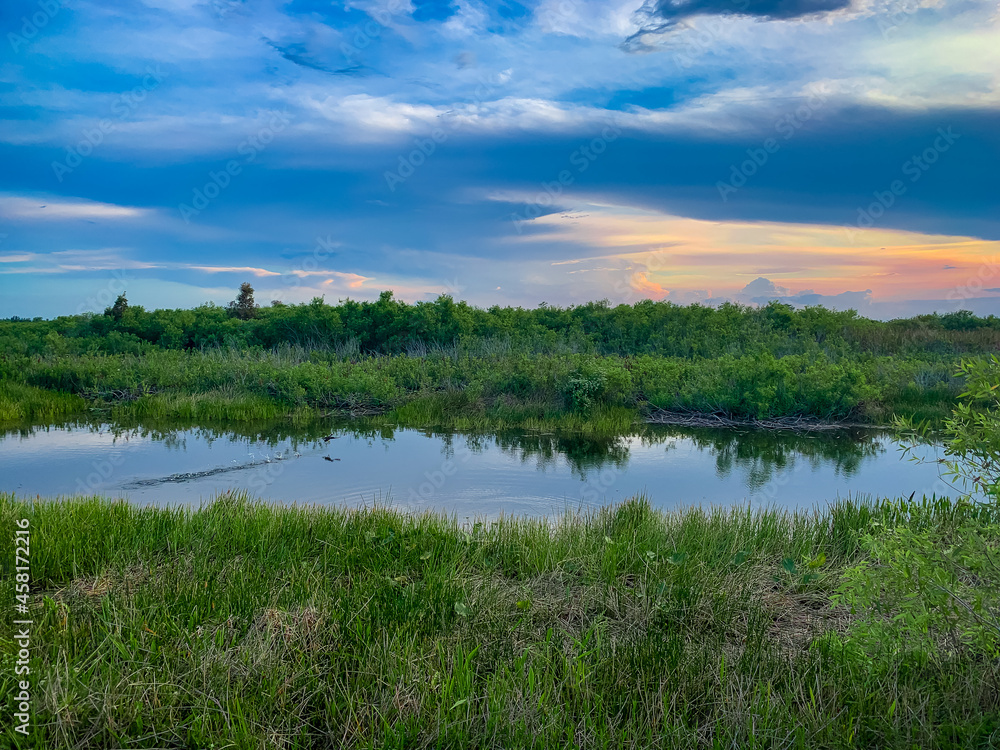 sun setting in the marsh of the bayou