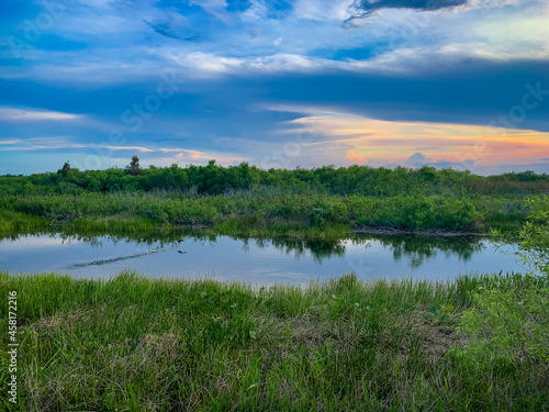 sun setting in the marsh of the bayou