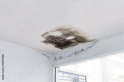 Murais de parede Ceiling panels with fungus in house from water pipes damaged or rainy leaked