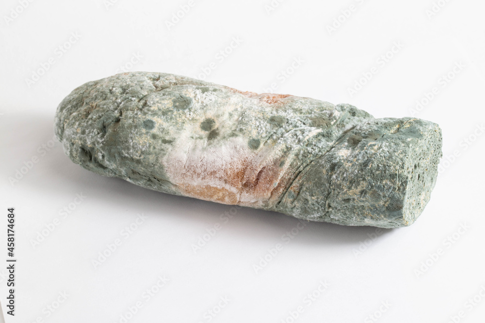 Green moldy bread on a white background, isolate. Loaf with mold, macro Green moldy bread on a white background, isolate. Loaf with mold, macro