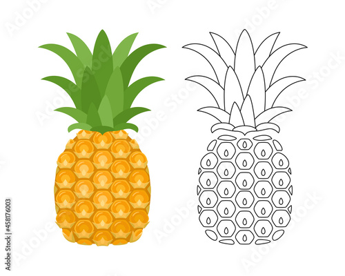 Vector pineapple color cartoon illustration and outline black and white icon.
