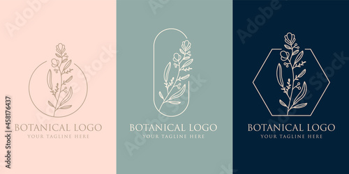 Botanical Hand Drawn collection Logo with Wild Flower and Leaves. Logo for spa and beauty salon, boutique, organic shop, wedding, floral designer, interior, photography, cosmetic. Floral element