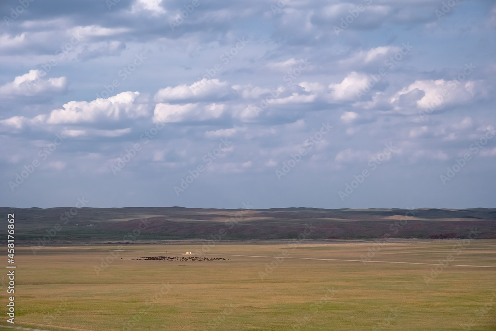 Yellow steppe with clouds and grazing horses on background. Countryside nature. Countryside landscape. Nature landscape background. Nature of Kazakhstan.