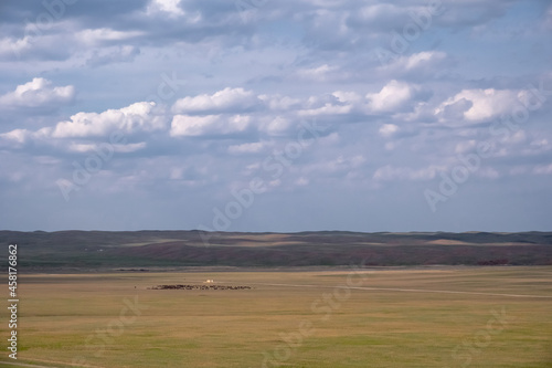 Yellow steppe with clouds and grazing horses on background. Countryside nature. Countryside landscape. Nature landscape background. Nature of Kazakhstan.
