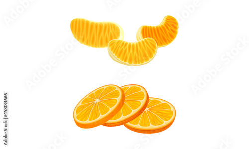 Fresh ripe mandarins set. Peeled mandarin slices vector illustration