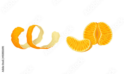 Fresh mandarins set. Peel and slice of ripe tangerine vector illustration