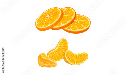 Fresh ripe mandarin set. Peeled juicy mandarin slices vector illustration