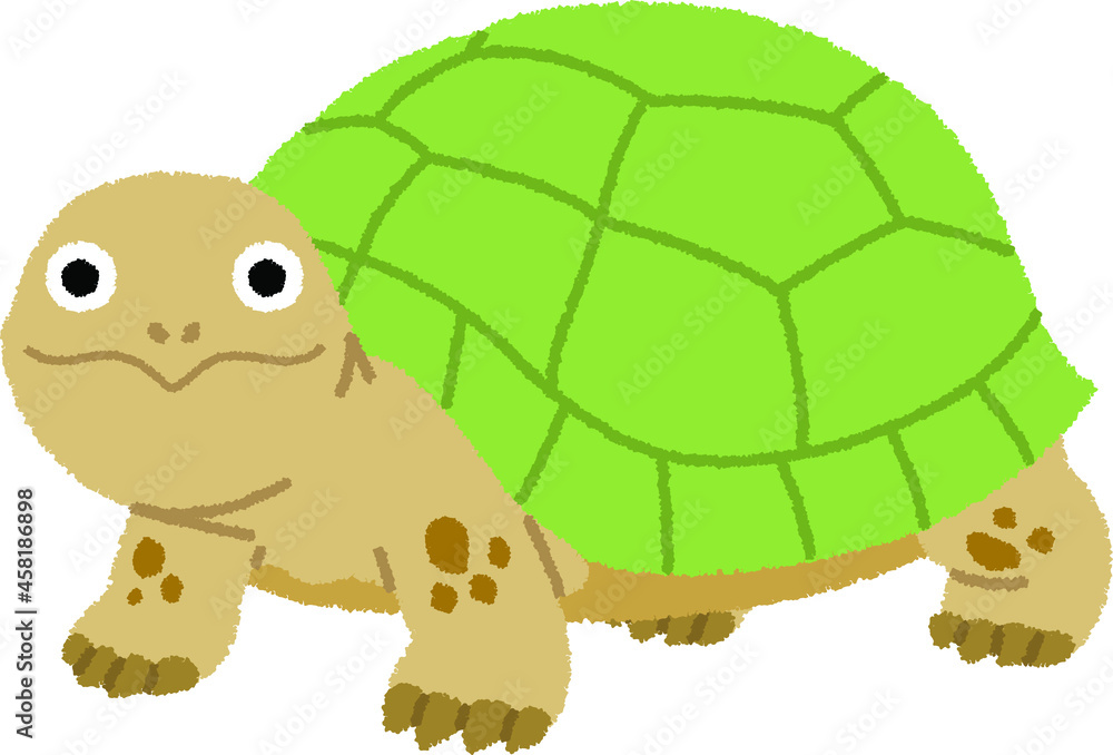 カメのイラスト Stock Vector Adobe Stock カメのイラスト Stock Vector Adobe Stock