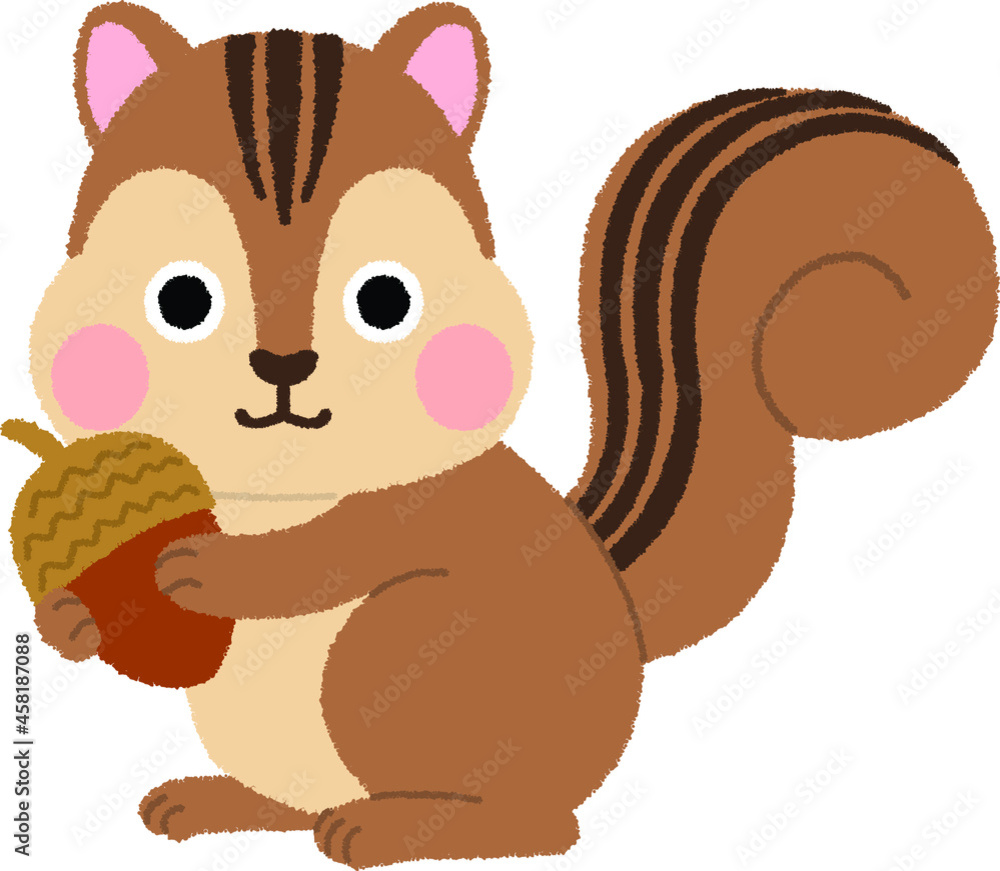 リスのイラスト リスのイラスト