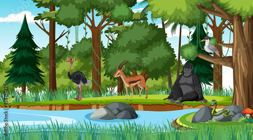 Canvas Print Forest scene with different wild animals