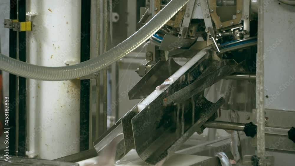 Fish factory. Fresh fish is cut on an automatic machine at the ship's factory. Cutting the