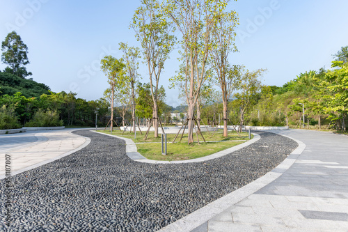 Green Park in a modern city. Exercise and relaxation.