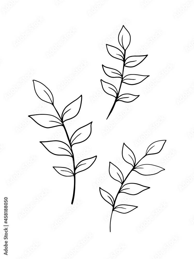 Leaf line art drawing on white background
