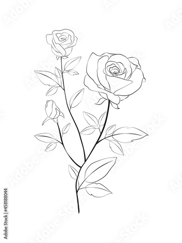 Stunning rose line art drawing on white background
