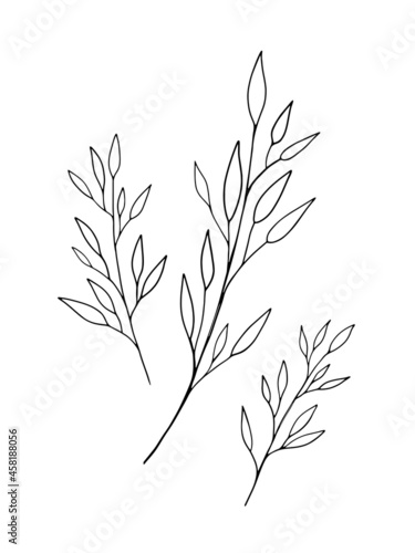 Beautiful leaf line art drawing on white background