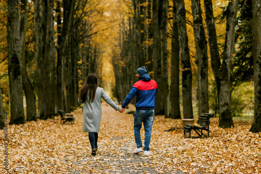 A guy and a girl are walking along the alley of the park in autumn. A romantic date, a walk, family time. Rear view, space for text A guy and a girl are walking along the alley of the park in autumn. A romantic date, a walk, family time. Rear view, space for text