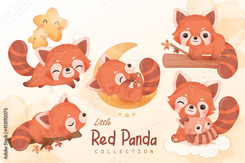 Cute little red panda clipart collection in watercolor illustration