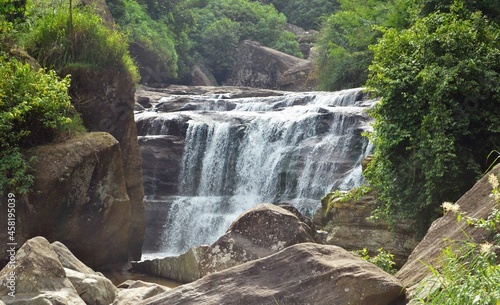 waterfall in the forest