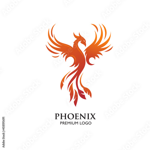 abstract Phoenix bird logo vector illustration photo