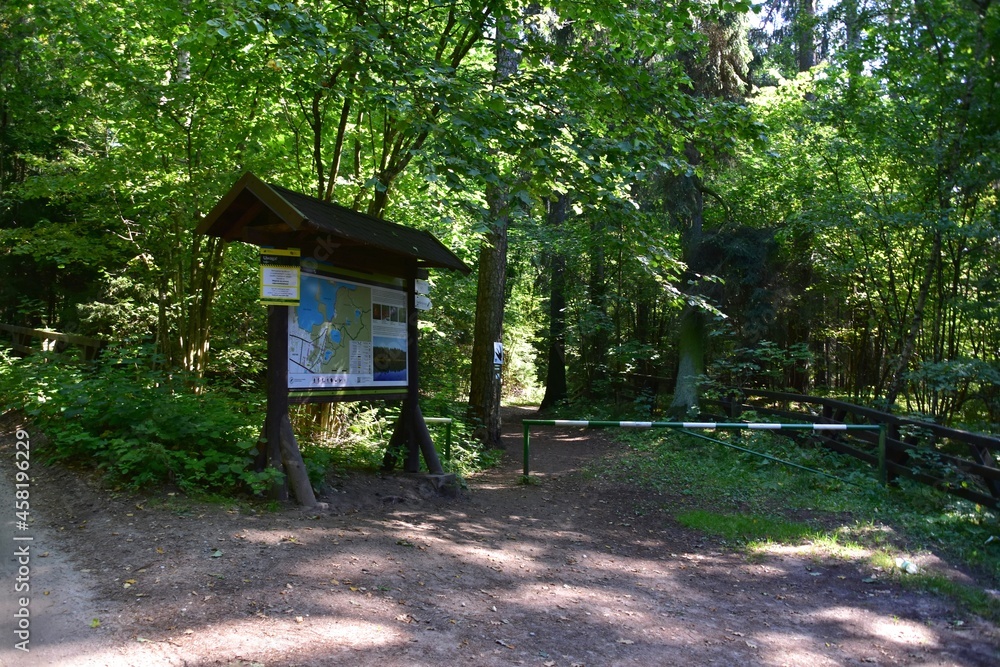 Wigierski Park Narodowy, Puszcza Augustowska