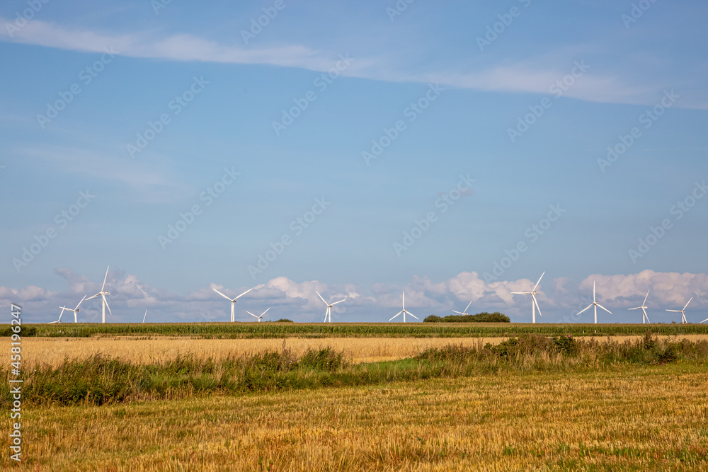 Windräder stehen auf einem Feld