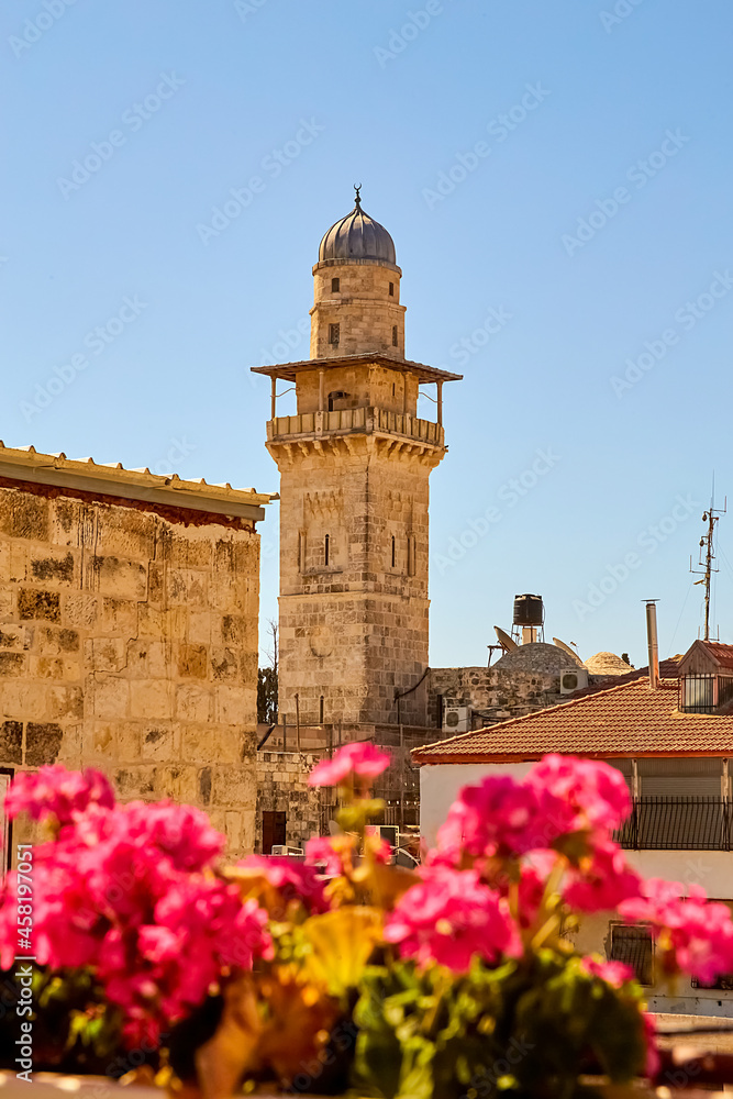 pink flowers and Bab al Silsila Minaret. Temple Mount and Dome of the Rock. old city of jerusalem, israel