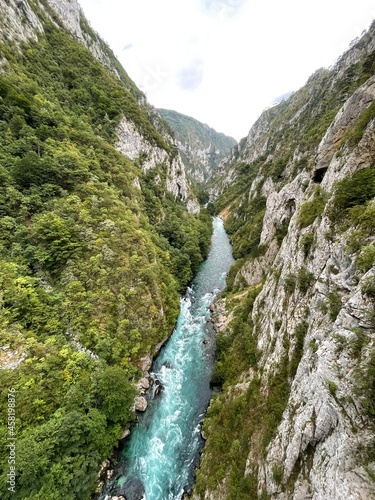 mountain river in the green mountains
