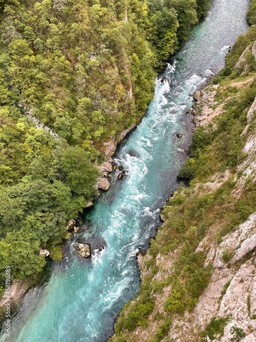 river in the green forest and mountains 