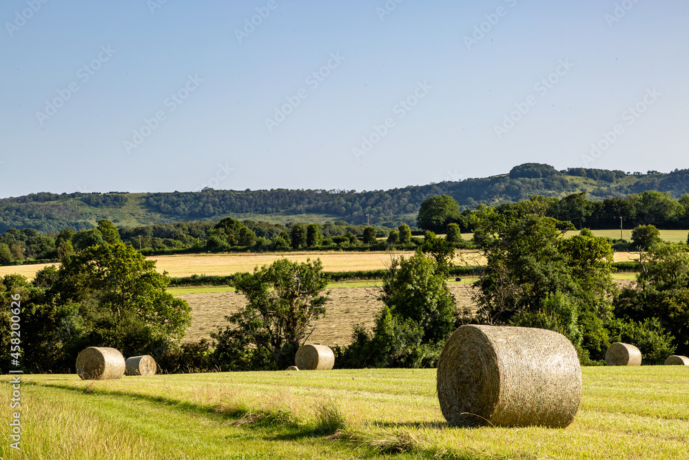 A Rural Sussex Landscape with Hay Bales