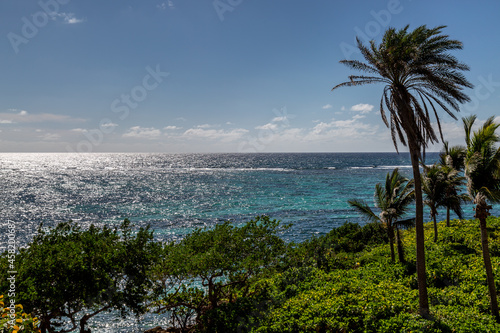An Antiguan View of Palm Trees and the Ocean