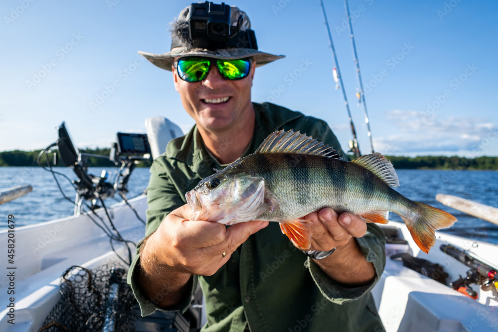 Late summer perch fishing in Swedish lake Late summer perch fishing in Swedish lake