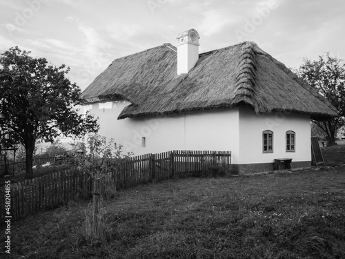 Traditional village house with a garden in the Moravian countryside from the 19th century. Straw roof,