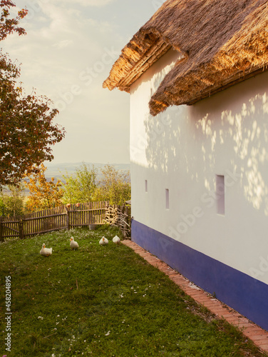 Traditional village house with a garden in the Moravian countryside from the 19th century. Straw roof,