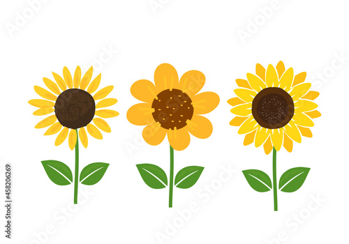 Set of Sunflowers on a white background vector.